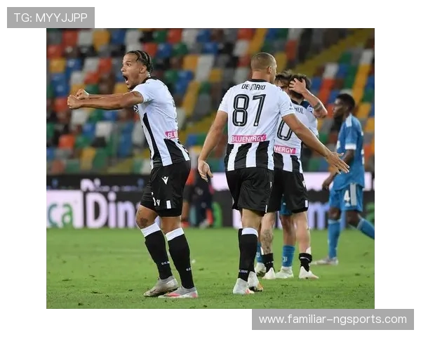 乌迪内斯足球俱乐部的辉煌历史与未来发展展望